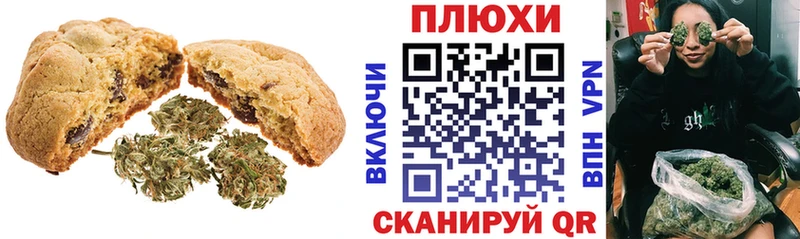 darknet клад  наркотики  Короча  Cannafood конопля 