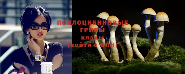 шишки Иннополис