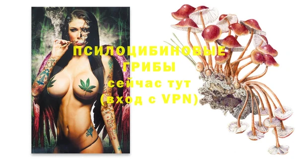 каннабис Новозыбков