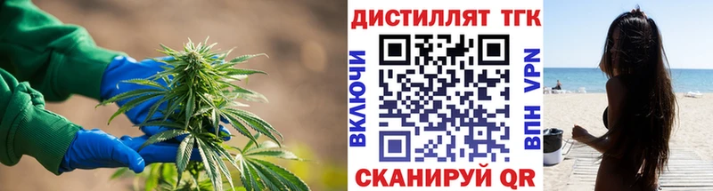 Дистиллят ТГК Wax  Короча 
