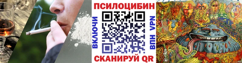 продажа наркотиков  Короча  Псилоцибиновые грибы GOLDEN TEACHER 